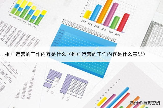 推广运营的工作内容是什么（推广运营的工作内容是什么意思）