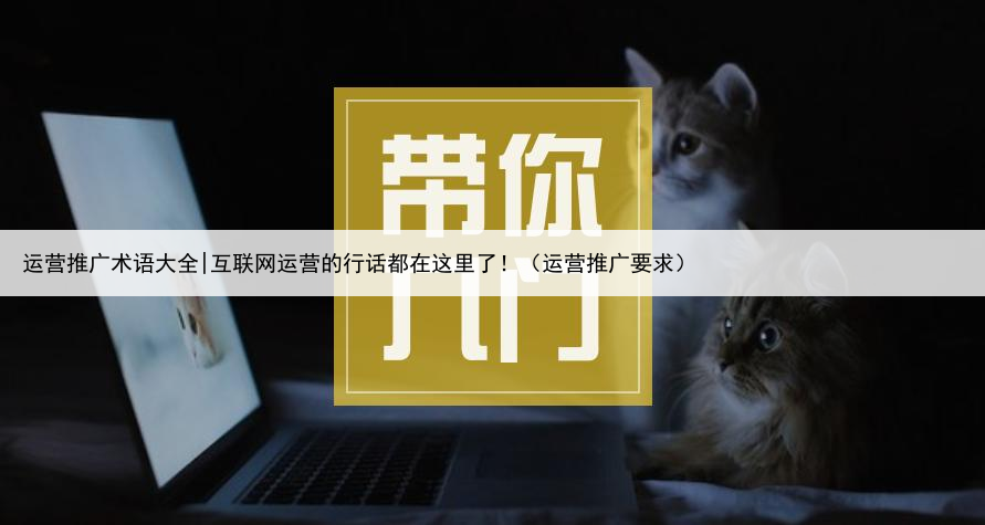 运营推广术语大全|互联网运营的行话都在这里了!(运营推广要求)