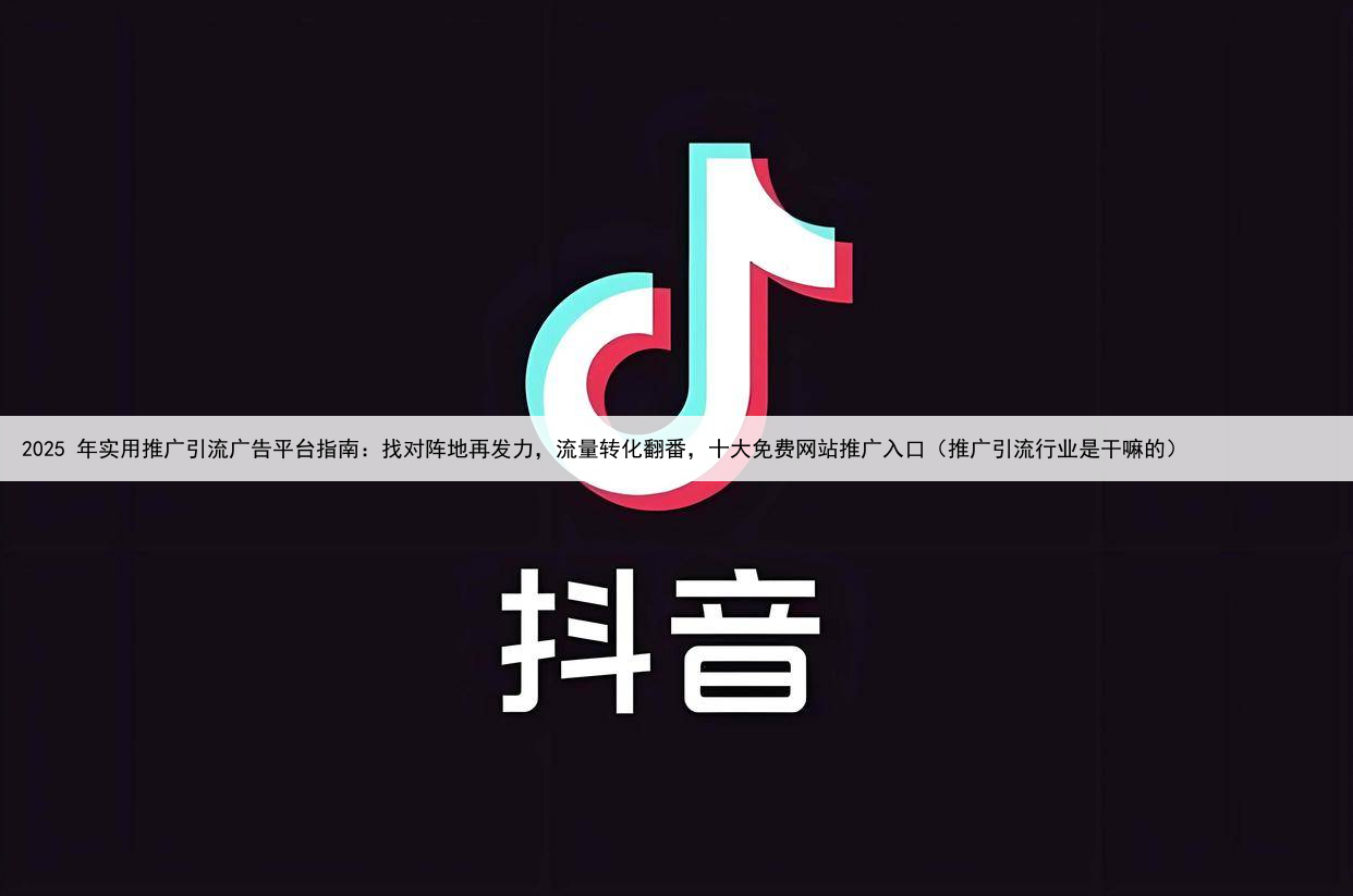 2025 年实用推广引流广告平台指南:找对阵地再发力,流量转化翻番,十大免费网站推广入口(推广引流行业是干嘛的)