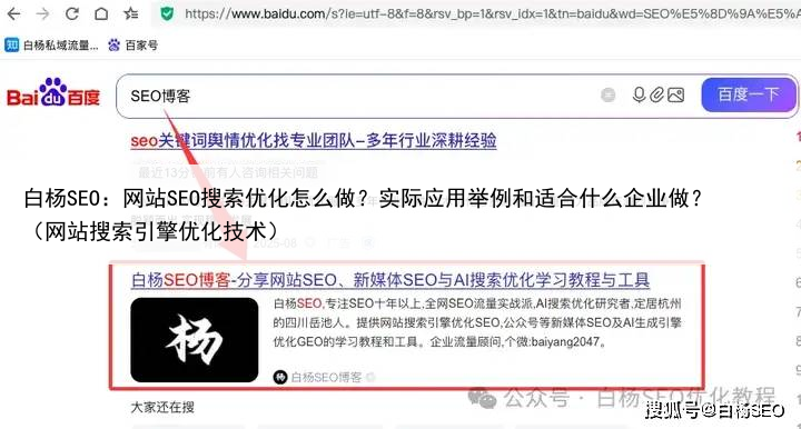 白杨SEO:网站SEO搜索优化怎么做?实际应用举例和适合什么企业做?(网站搜索引擎优化技术)