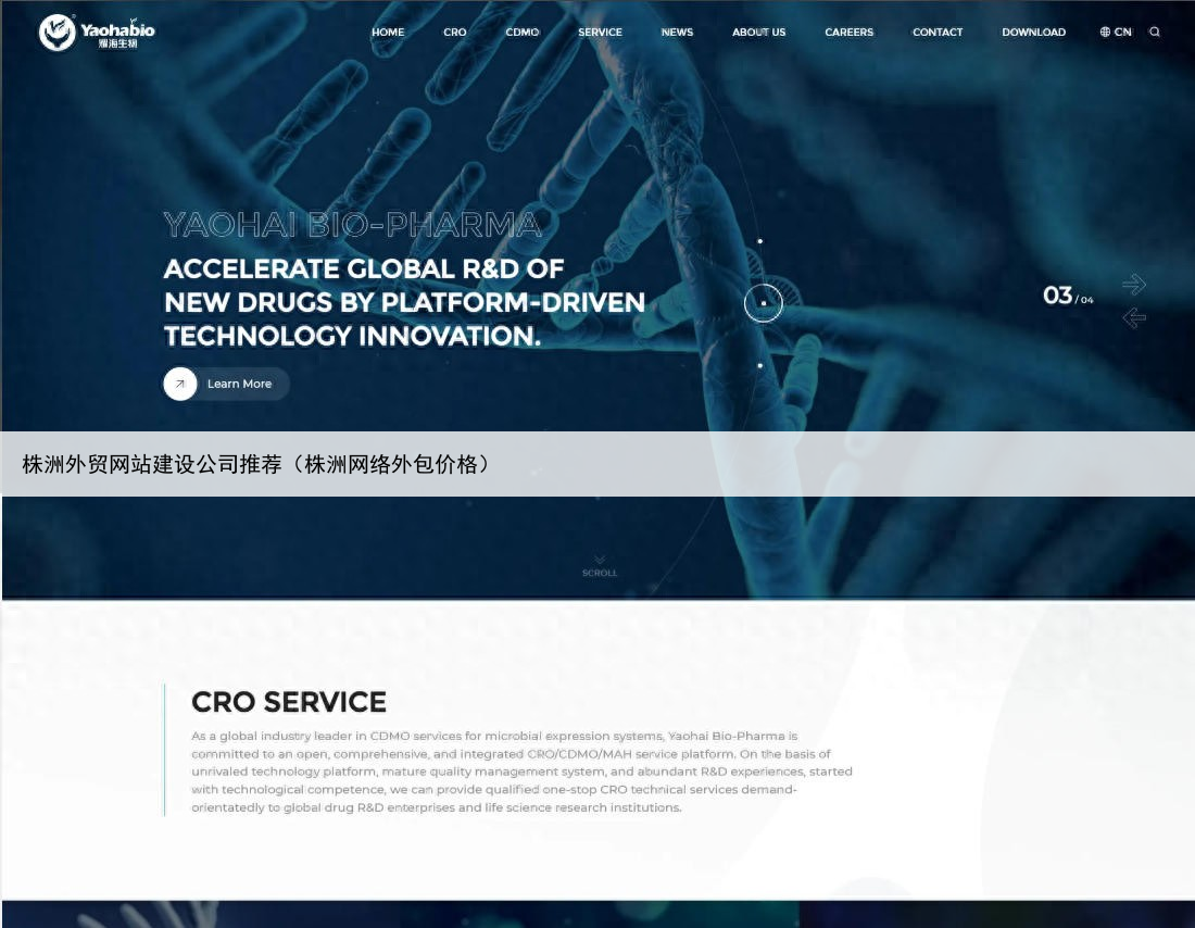 株洲外贸网站建设公司推荐（株洲网络外包价格）