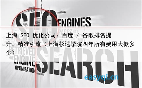 上海 SEO 优化公司：百度 / 谷歌排名提升，精准引流（上海杉达学院四年所有费用大概多少）
