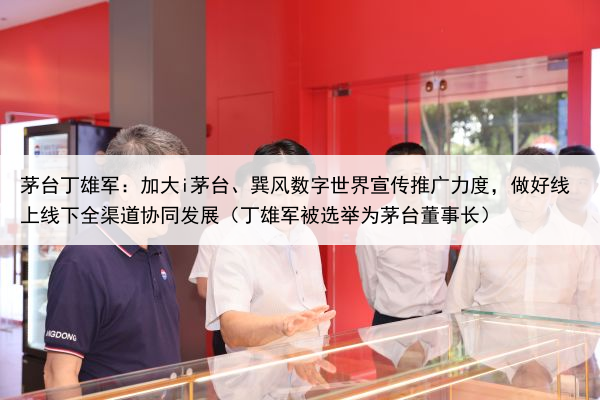 茅台丁雄军：加大i茅台、巽风数字世界宣传推广力度，做好线上线下全渠道协同发展（丁雄军被选举为茅台董事长）