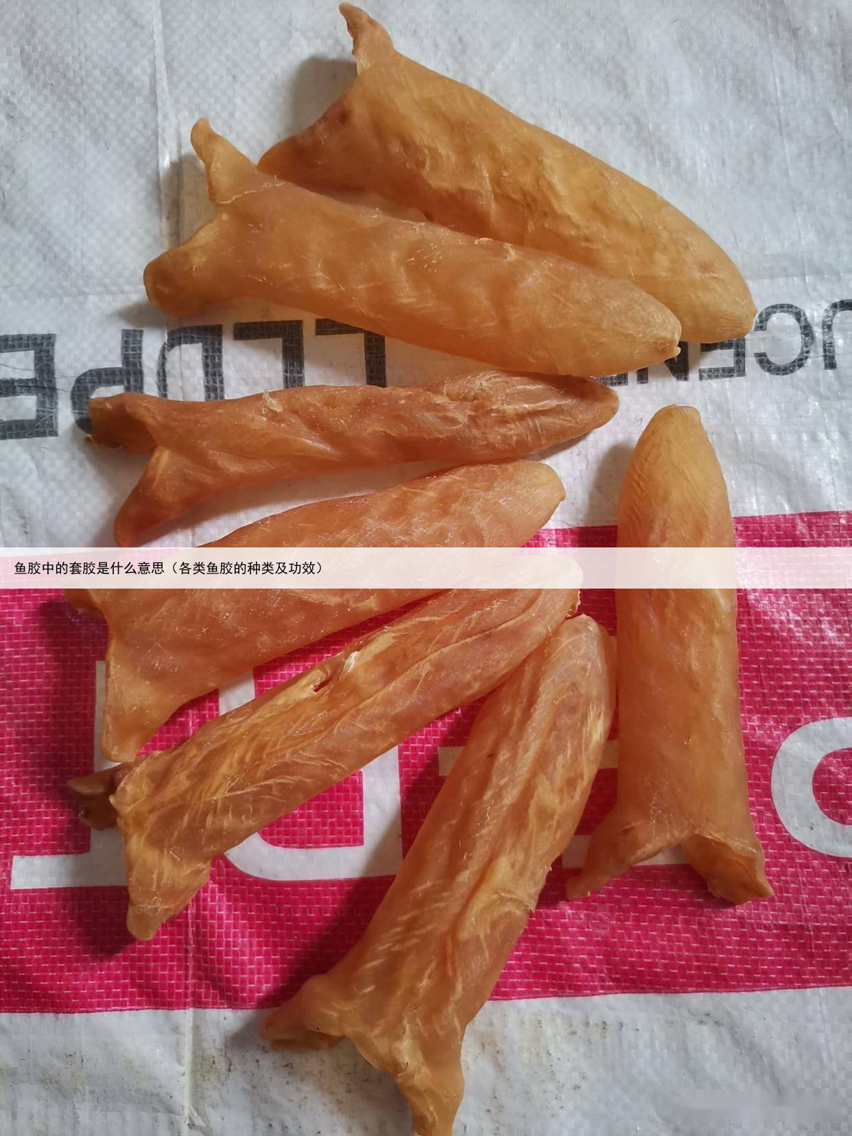 鱼胶中的套胶是什么意思（各类鱼胶的种类及功效）