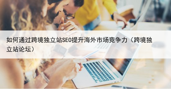 如何通过跨境独立站SEO提升海外市场竞争力(跨境独立站论坛)