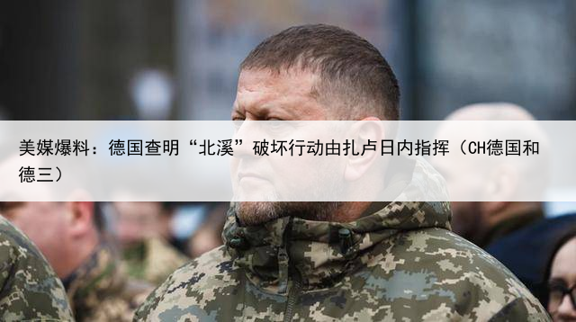 美媒爆料：德国查明“北溪”破坏行动由扎卢日内指挥（CH德国和德三）