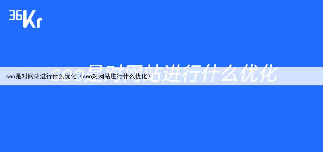 seo是对网站进行什么优化（seo对网站进行什么优化）