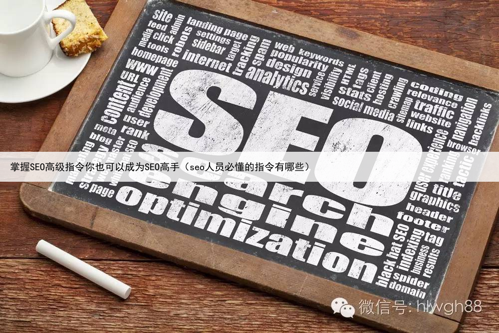 掌握SEO高级指令你也可以成为SEO高手（seo人员必懂的指令有哪些）