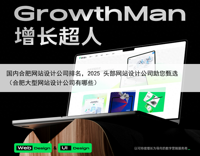 国内合肥网站设计公司排名，2025 头部网站设计公司助您甄选（合肥大型网站设计公司有哪些）