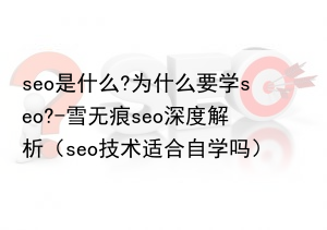 seo是什么?为什么要学seo?-雪无痕seo深度解析(seo技术适合自学吗)