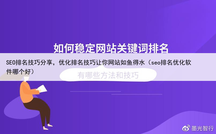 SEO排名技巧分享，优化排名技巧让你网站如鱼得水（seo排名优化软件哪个好）