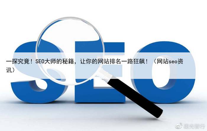 一探究竟！SEO大师的秘籍，让你的网站排名一路狂飙！（网站seo资讯）
