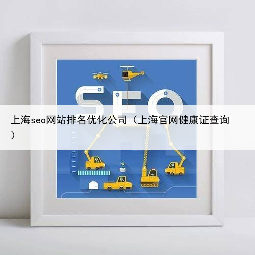 上海seo网站排名优化公司(上海官网健康证查询)
