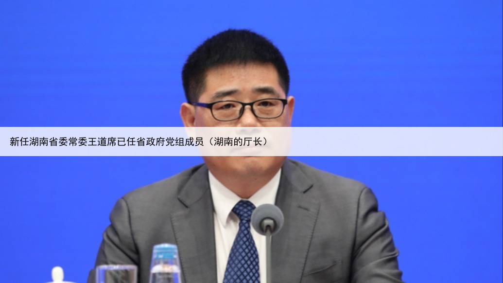 新任湖南省委常委王道席已任省政府党组成员（湖南的厅长）