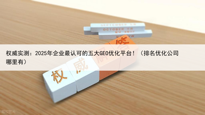 权威实测:2025年企业最认可的五大GEO优化平台!(排名优化公司哪里有)