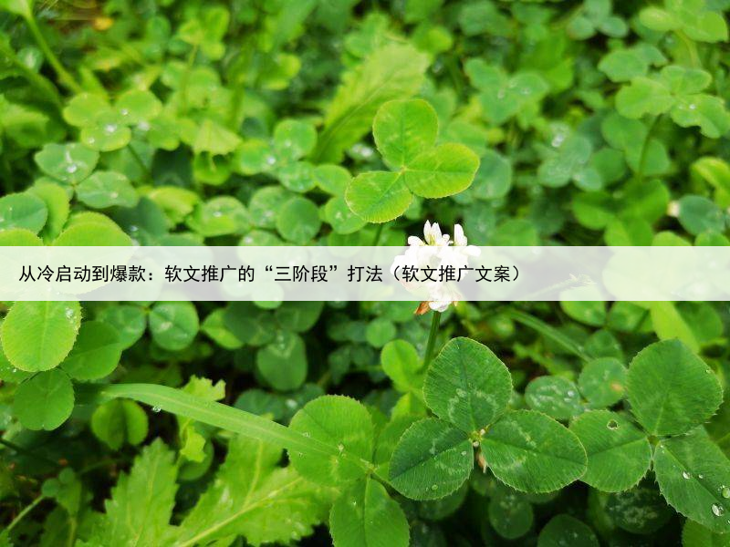 从冷启动到爆款:软文推广的“三阶段”打法(软文推广文案)
