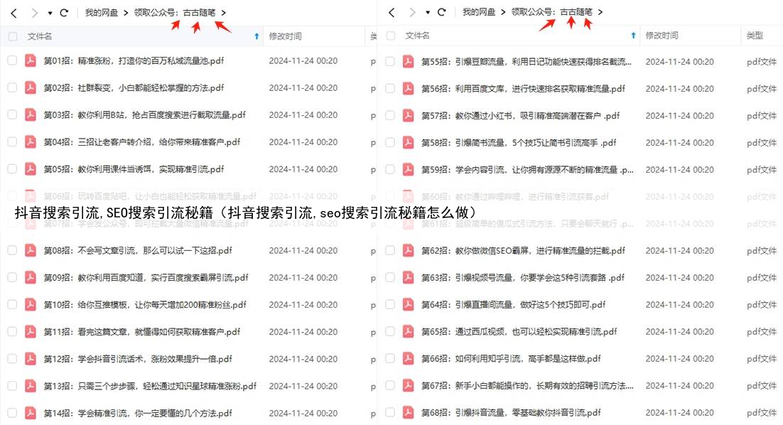 抖音搜索引流,SEO搜索引流秘籍（抖音搜索引流,seo搜索引流秘籍怎么做）