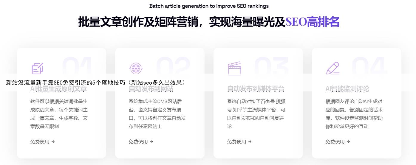 新站没流量新手靠SEO免费引流的5个落地技巧（新站seo多久出效果）