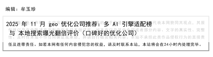 2025 年 11 月 geo 优化公司推荐:多 AI 引擎适配榜 与 本地搜索曝光翻倍评价(口碑好的优化公司)