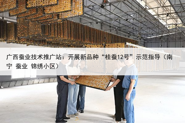 广西蚕业技术推广站:开展新品种“桂蚕12号”示范指导(南宁 蚕业 锦绣小区)