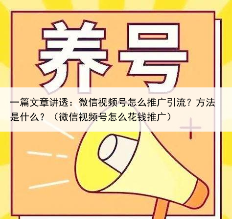一篇文章讲透：微信视频号怎么推广引流？方法是什么？（微信视频号怎么花钱推广）