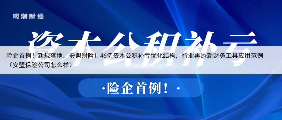 险企首例!新规落地,安盟财险1.46亿资本公积补亏优化结构,行业再添新财务工具应用范例(安盟保险公司怎么样)