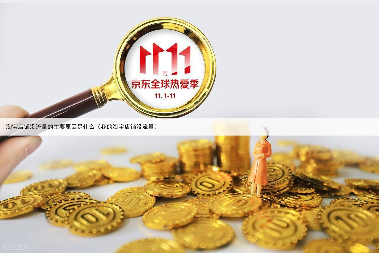 淘宝店铺没流量的主要原因是什么(我的淘宝店铺没流量)