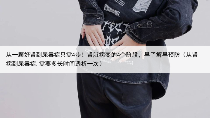 从一颗好肾到尿毒症只需4步!肾脏病变的4个阶段,早了解早预防(从肾病到尿毒症,需要多长时间透析一次)