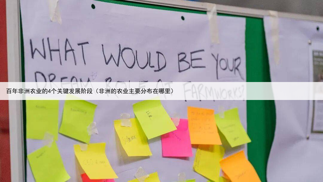 百年非洲农业的4个关键发展阶段(非洲的农业主要分布在哪里)