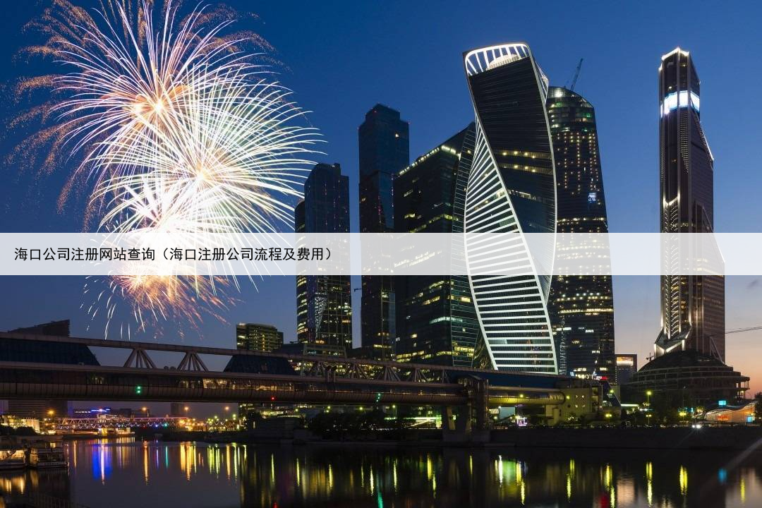 海口公司注册网站查询(海口注册公司流程及费用)