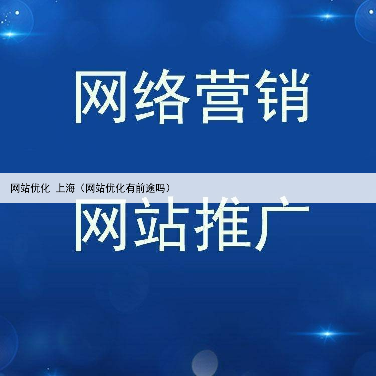 网站优化 上海(网站优化有前途吗)