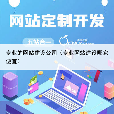 专业的网站建设公司（专业网站建设哪家便宜）
