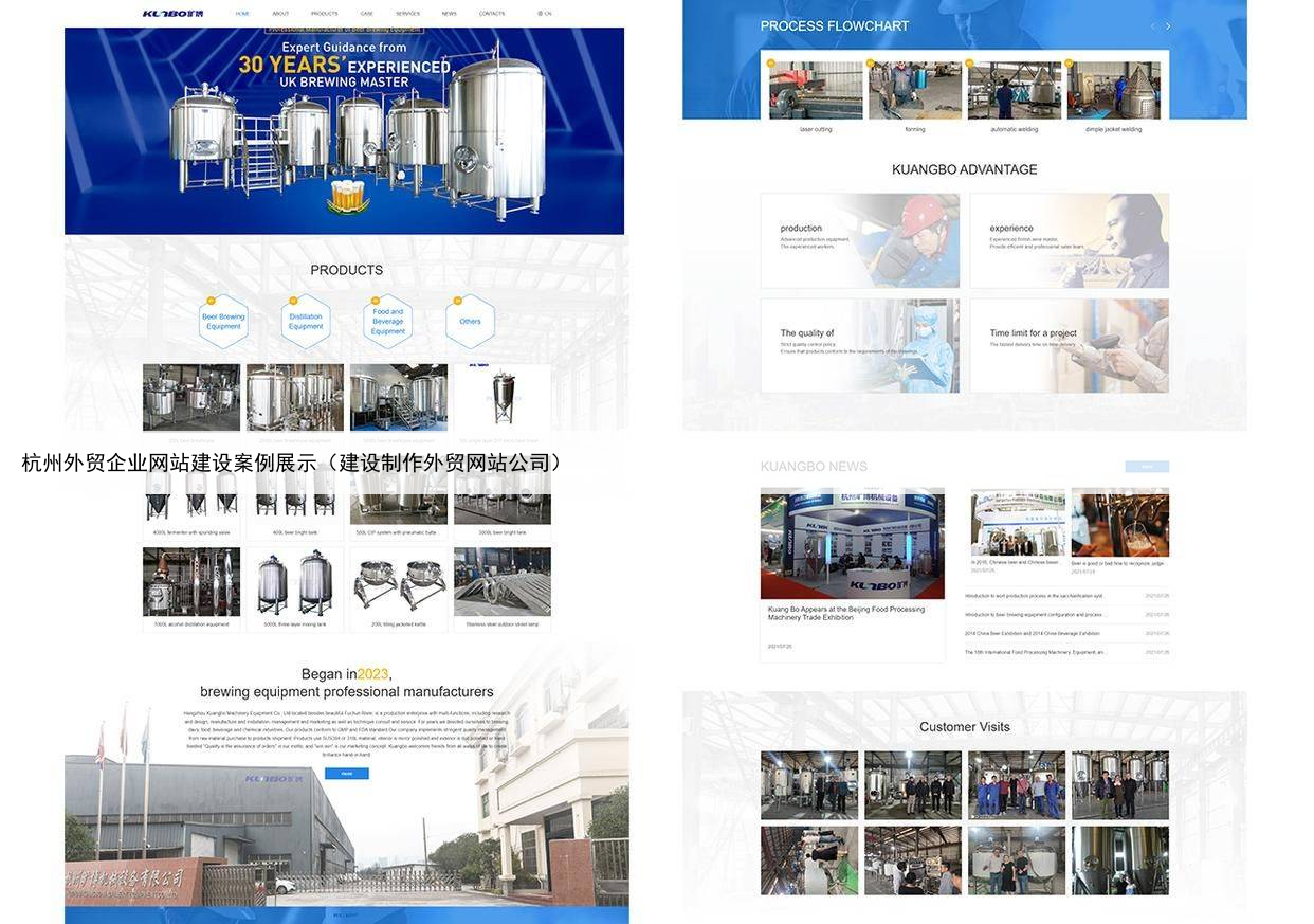 杭州外贸企业网站建设案例展示（建设制作外贸网站公司）