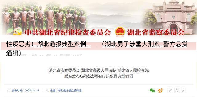 性质恶劣！湖北通报典型案例——（湖北男子涉重大刑案 警方悬赏通缉）