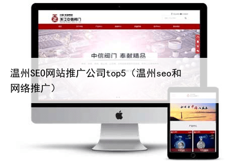 温州SEO网站推广公司top5(温州seo和网络推广)