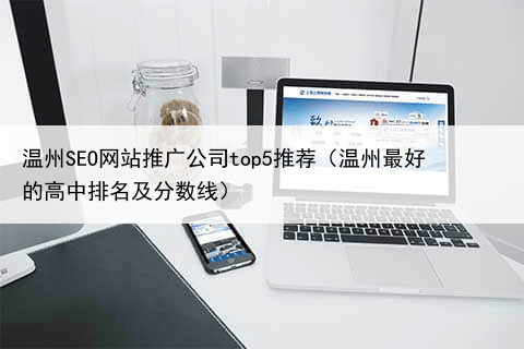 温州SEO网站推广公司top5推荐（温州最好的高中排名及分数线）