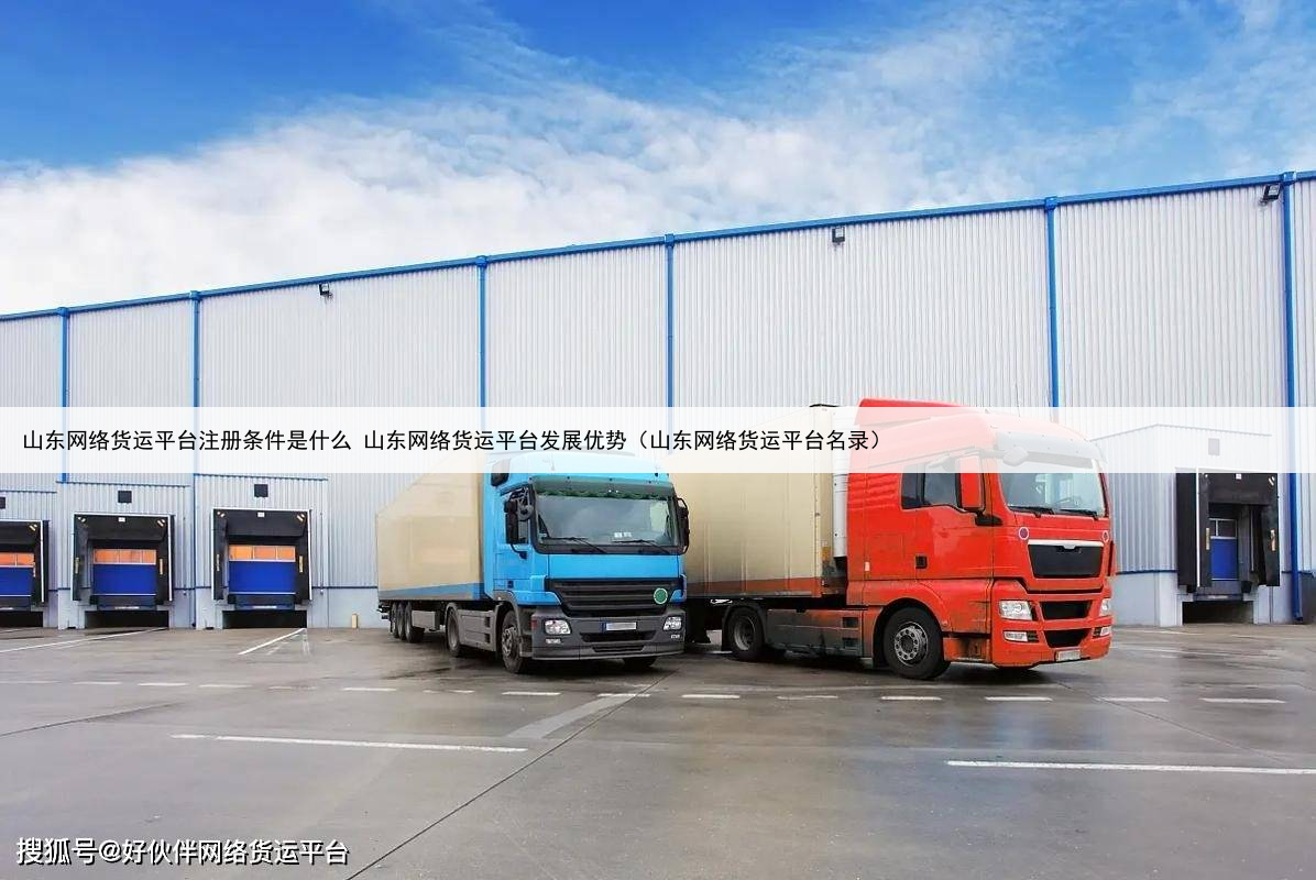 山东网络货运平台注册条件是什么 山东网络货运平台发展优势(山东网络货运平台名录)
