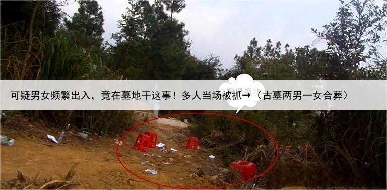可疑男女频繁出入,竟在墓地干这事!多人当场被抓→(古墓两男一女合葬)
