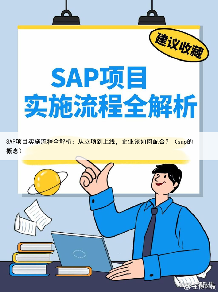 SAP项目实施流程全解析:从立项到上线,企业该如何配合?(sap的概念)
