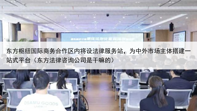 东方枢纽国际商务合作区内将设法律服务站，为中外市场主体搭建一站式平台（东方法律咨询公司是干嘛的）