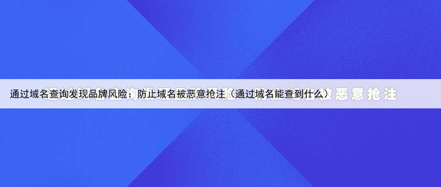 通过域名查询发现品牌风险:防止域名被恶意抢注(通过域名能查到什么)