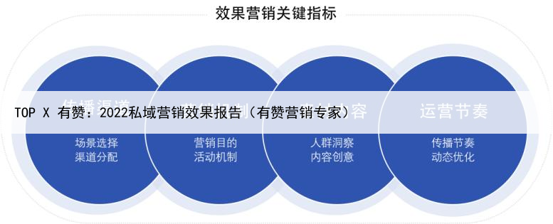 TOP X 有赞：2022私域营销效果报告（有赞营销专家）