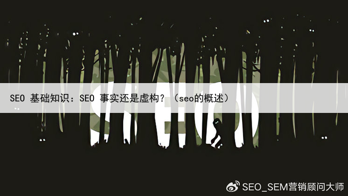 SEO 基础知识:SEO 事实还是虚构?(seo的概述)