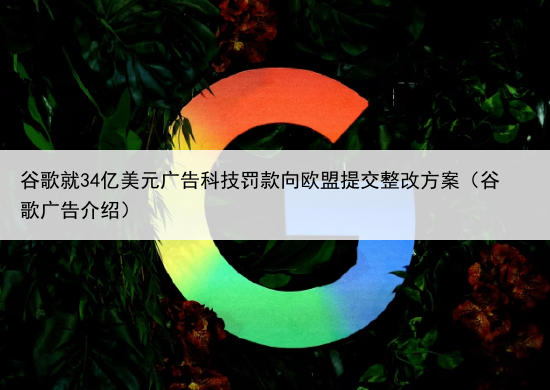 谷歌就34亿美元广告科技罚款向欧盟提交整改方案(谷歌广告介绍)
