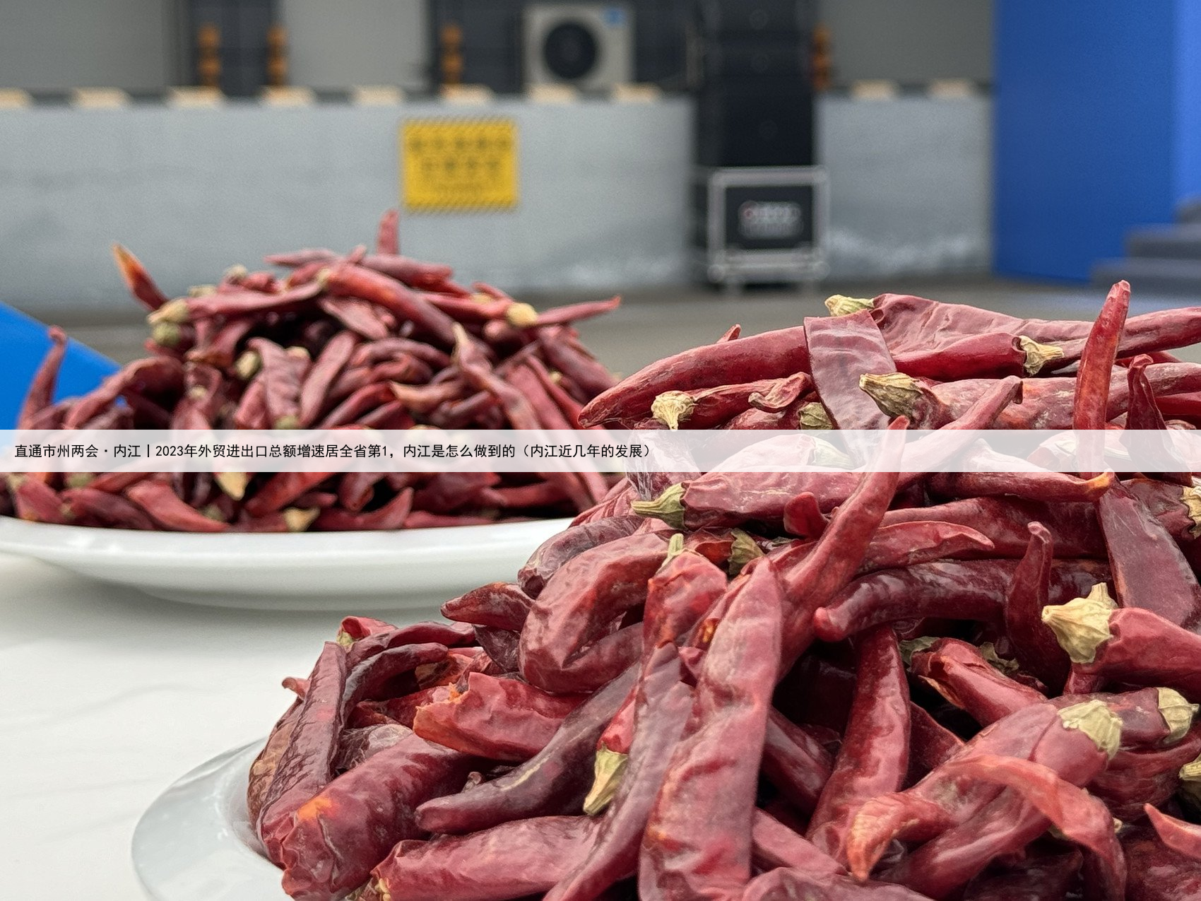 直通市州两会·内江丨2023年外贸进出口总额增速居全省第1,内江是怎么做到的(内江近几年的发展)