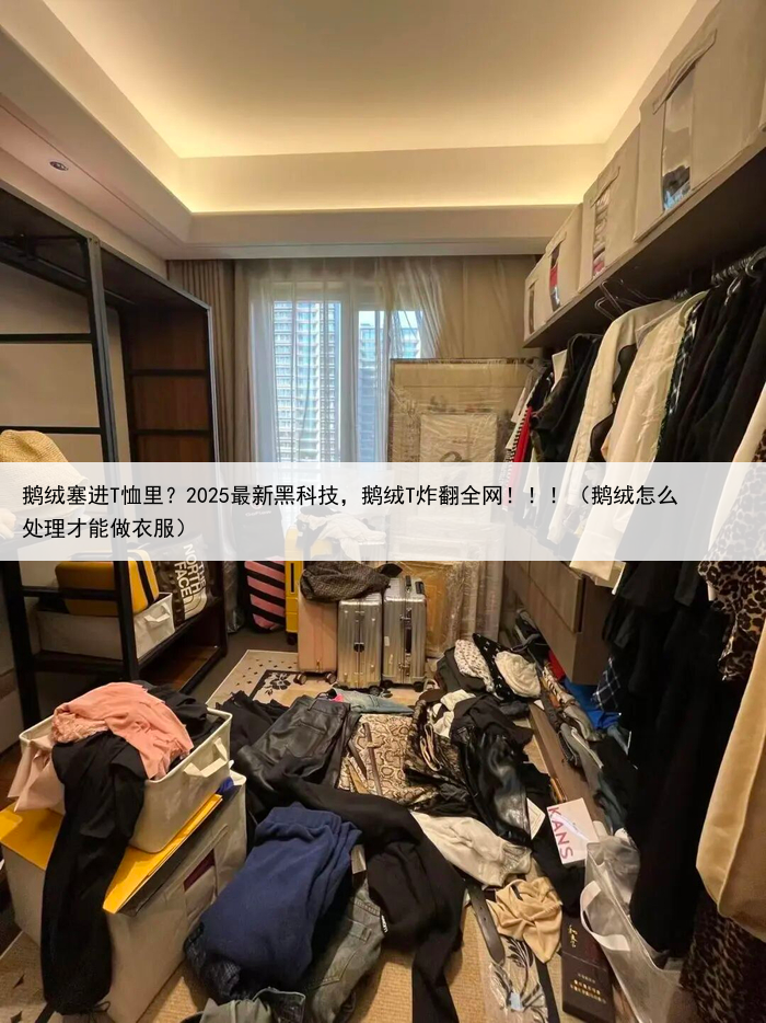 鹅绒塞进T恤里？2025最新黑科技，鹅绒T炸翻全网！！！（鹅绒怎么处理才能做衣服）