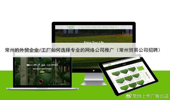 常州的外贸企业/工厂如何选择专业的网络公司推广（常州贸易公司招聘）