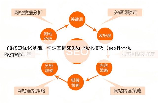 了解SEO优化基础，快速掌握SEO入门优化技巧（seo具体优化流程）