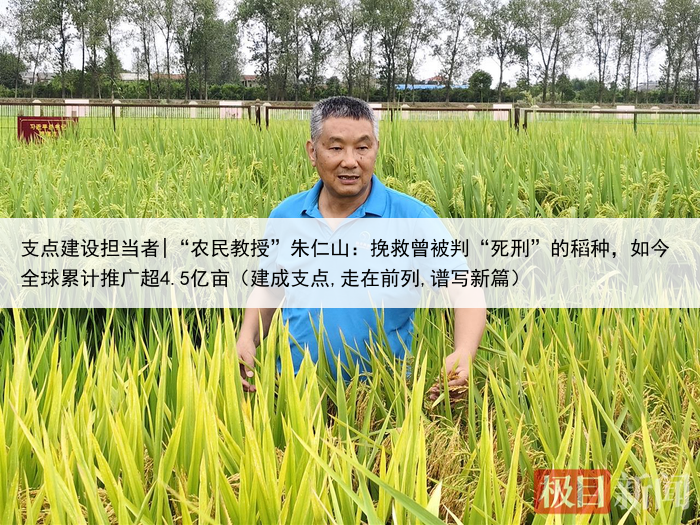 支点建设担当者|“农民教授”朱仁山:挽救曾被判“死刑”的稻种,如今全球累计推广超4.5亿亩(建成支点,走在前列,谱写新篇)