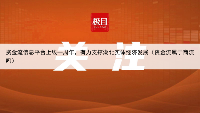 资金流信息平台上线一周年,有力支撑湖北实体经济发展(资金流属于商流吗)